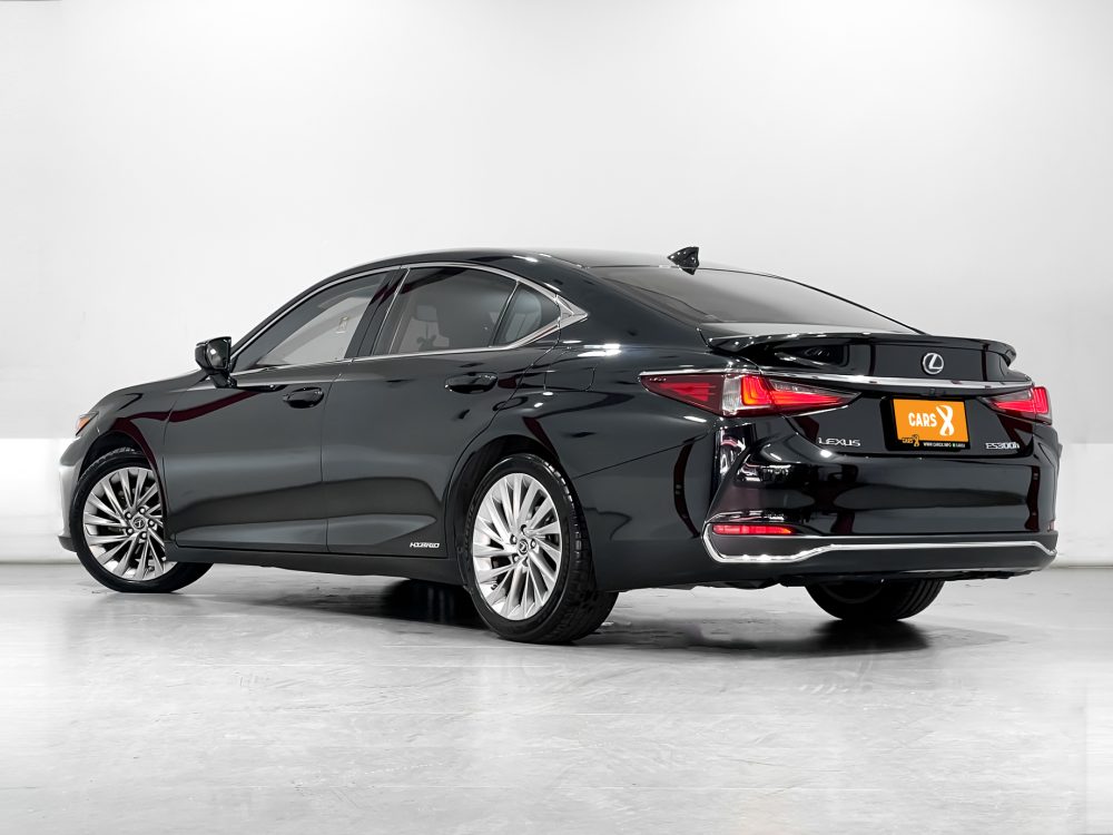 2019 LEXUS ES300H 2.5 GRAND LUXURY [9P0711] - 13