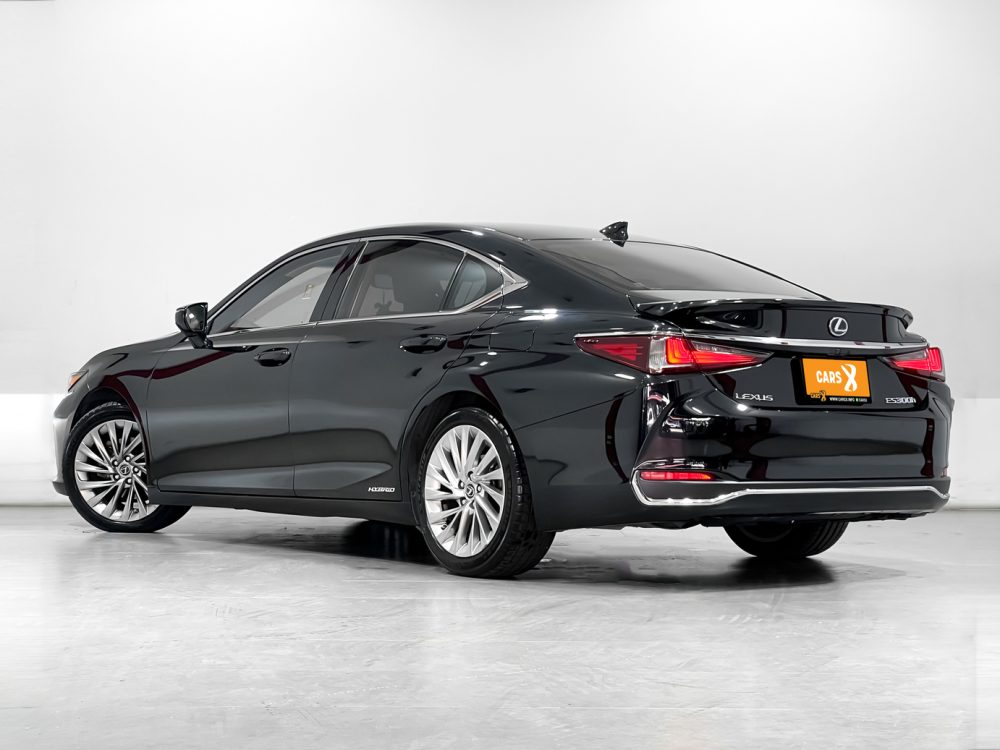 2019 LEXUS ES300H 2.5 GRAND LUXURY [9P0711] - 24