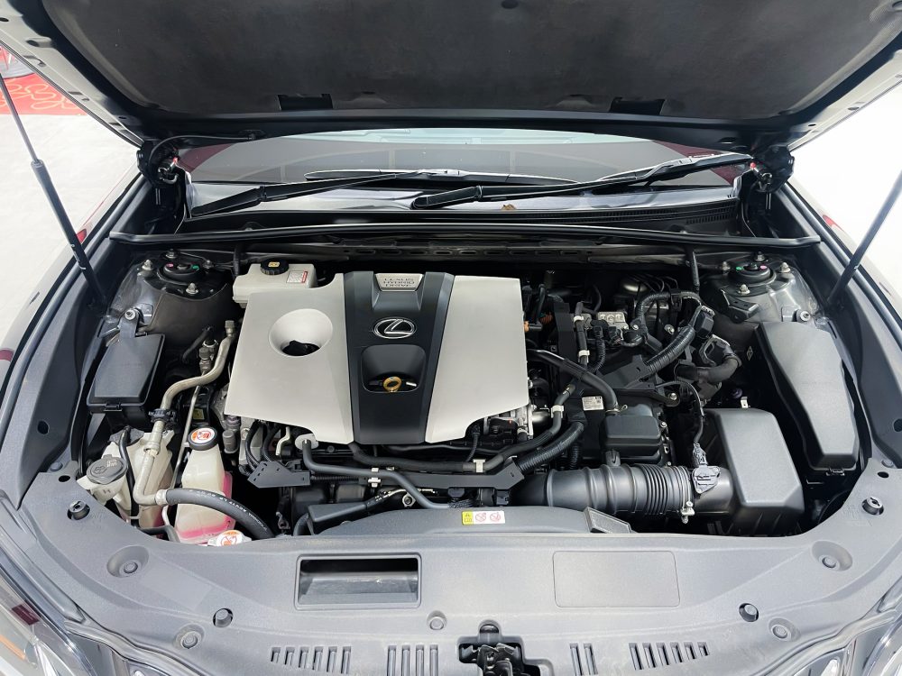 2019 LEXUS ES300H 2.5 GRAND LUXURY [9P0711] - 15