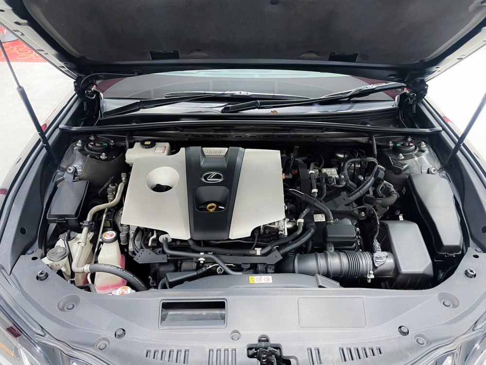 2019 LEXUS ES300H 2.5 GRAND LUXURY [9P0711] - 26