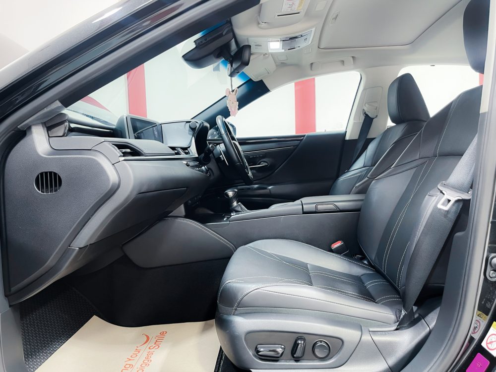 2019 LEXUS ES300H 2.5 GRAND LUXURY [9P0711] - 18