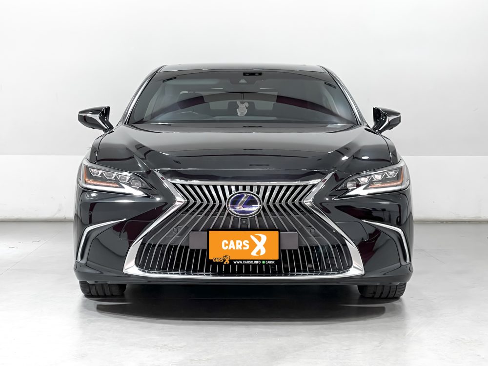 2019 LEXUS ES300H 2.5 GRAND LUXURY [9P0711] - 10