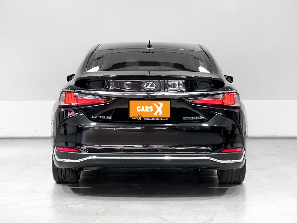 2019 LEXUS ES300H 2.5 GRAND LUXURY [9P0711] - 12