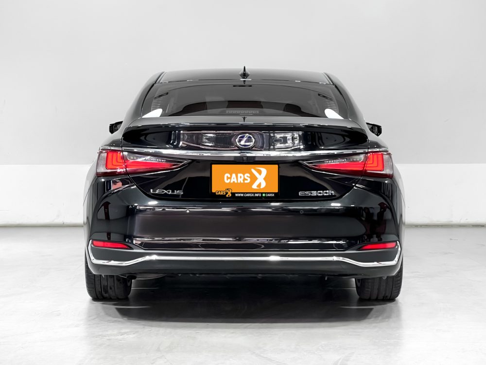 2019 LEXUS ES300H 2.5 GRAND LUXURY [9P0711] - 23