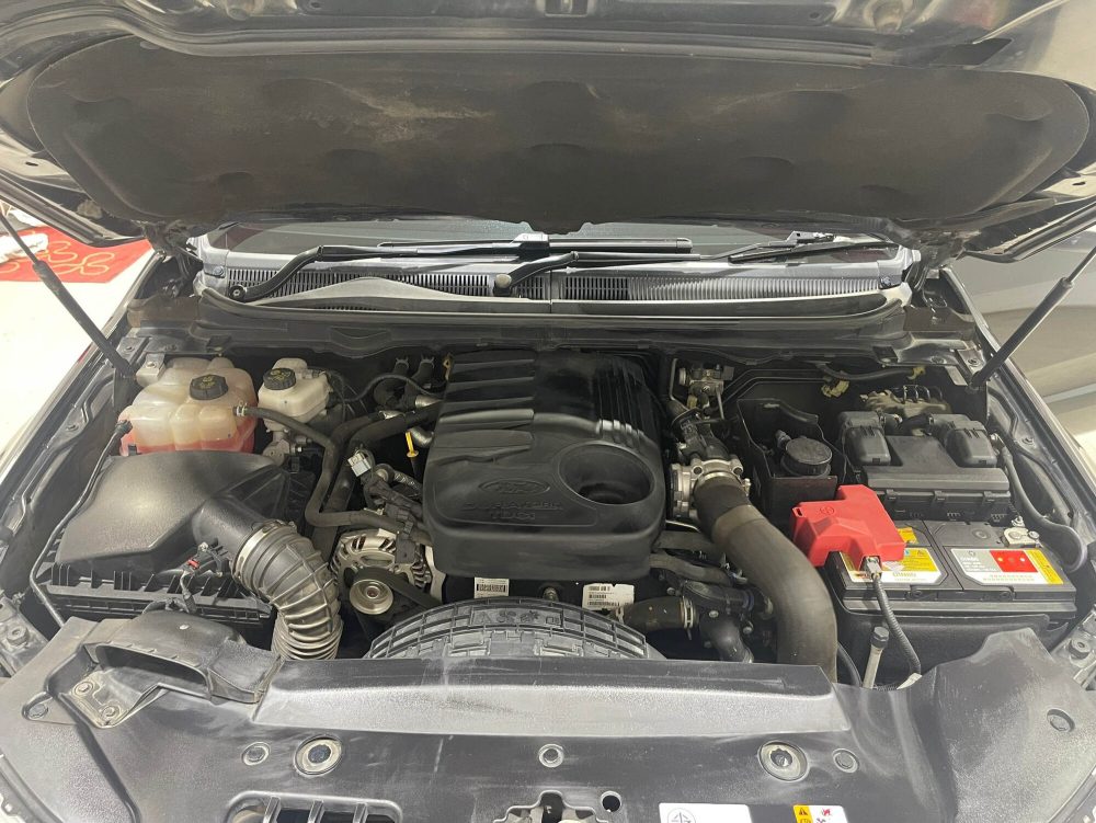 2016 FORD EVEREST 3.2 TITANIUM+ 4WD [1P1951]* - 11