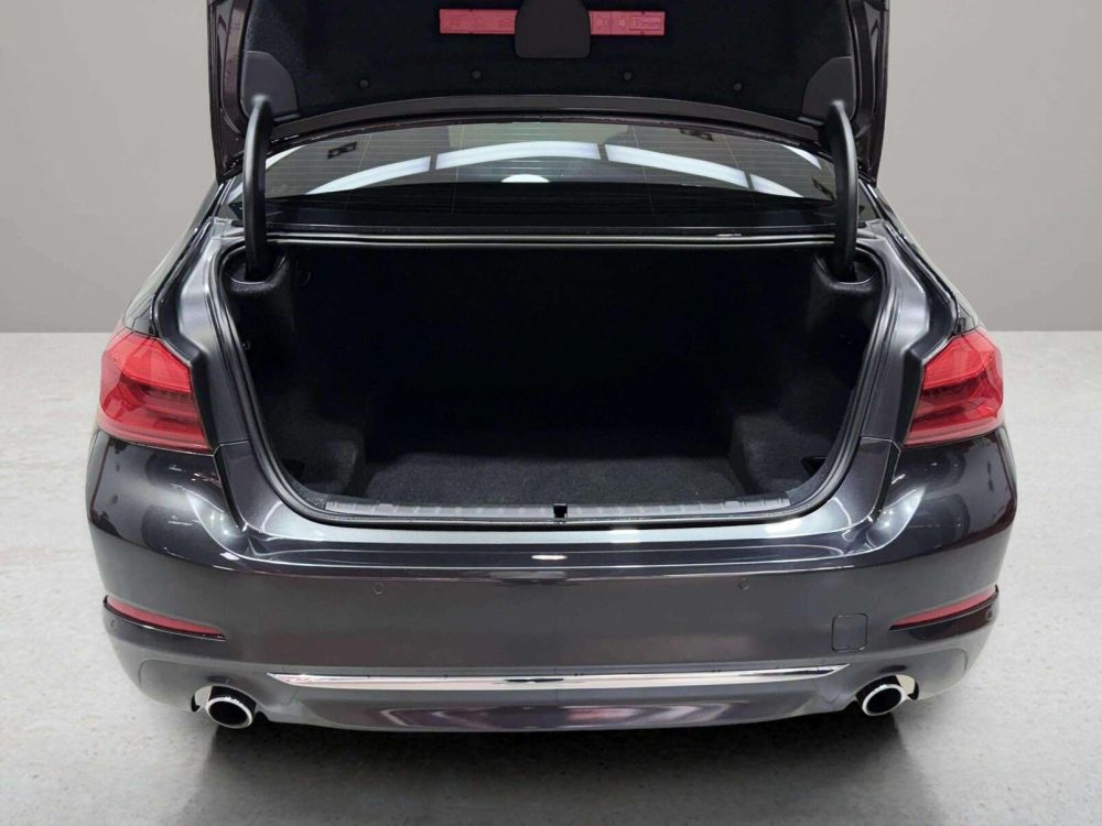 2018 BMW 520D 2.0 LUXURY [1N0043V] - 8