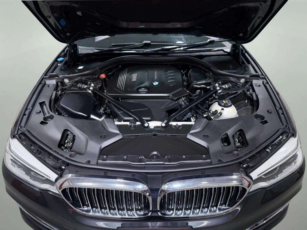 2018 BMW 520D 2.0 LUXURY [1N0043V] - 9