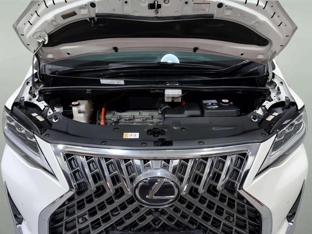 2021 LEXUS LM300H 2.5 EXECUTIVE 4WD [9P0957] - 8