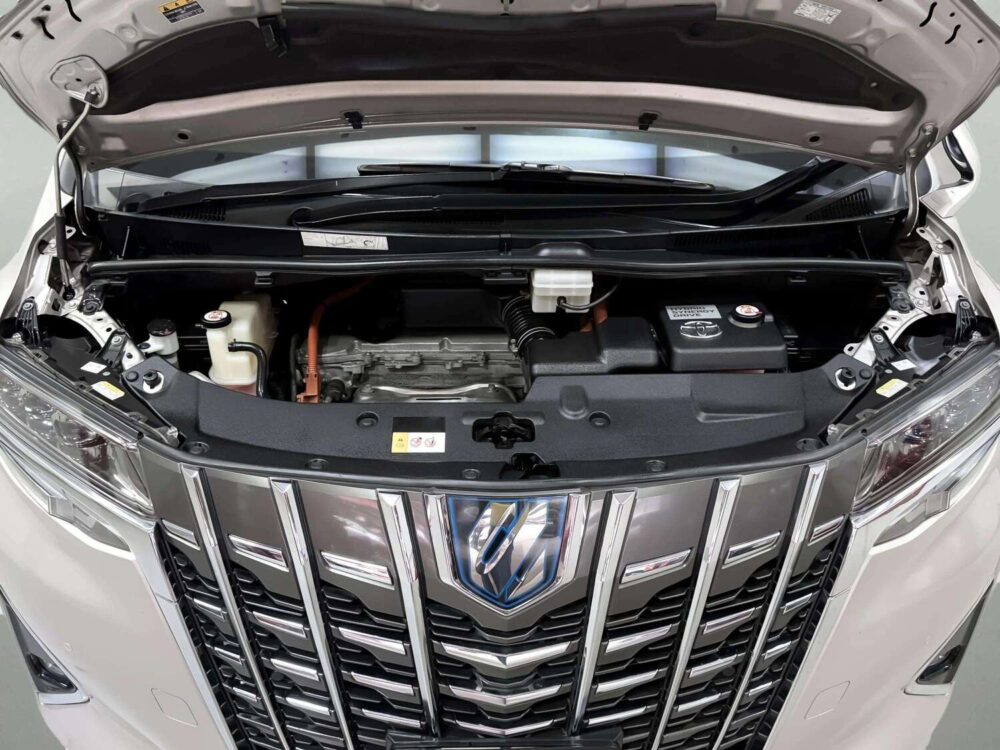 2021 TOYOTA ALPHARD 2.5 HV G F-PACKAGE 4WD  [1P2676] - 9