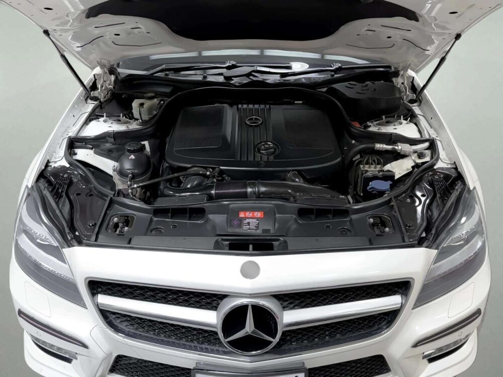 2016 MERCEDES-BENZ CLS250 2.1 CDI AMG  [1P2667V] - 9
