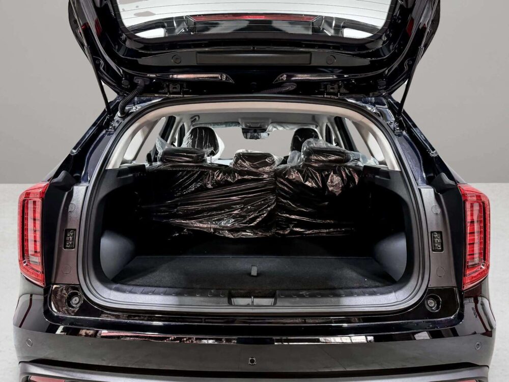 2025 HAVAL JOLION 1.5 SPORT  [1P2759] - 8