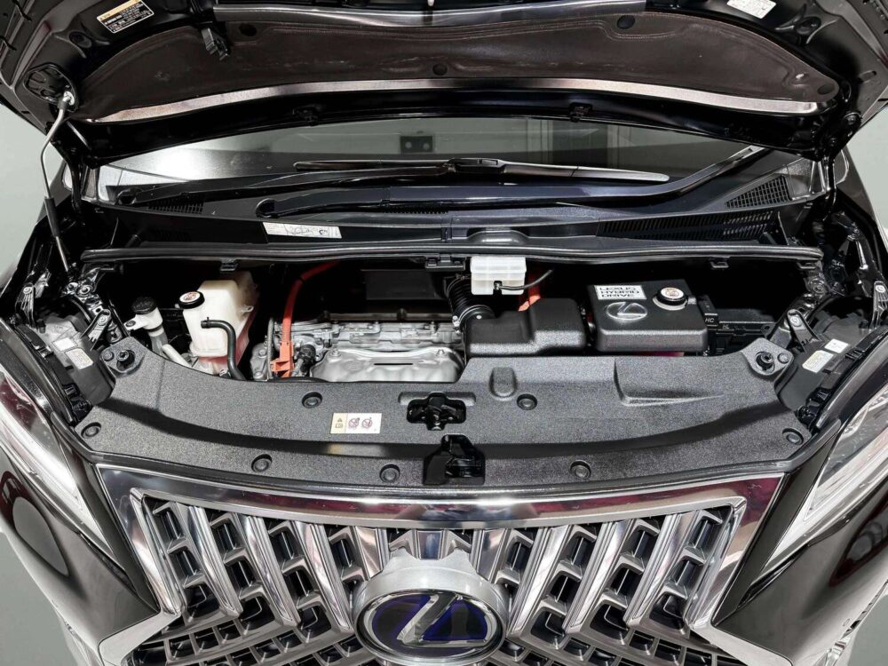 2021 LEXUS LM300H 2.5 EXECUTIVE 4WD  [1P2918V] - 9